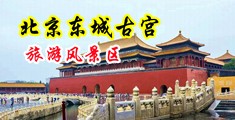 操逼免费视频美国中国北京-东城古宫旅游风景区